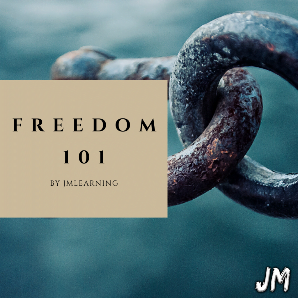 freedom 101 article -